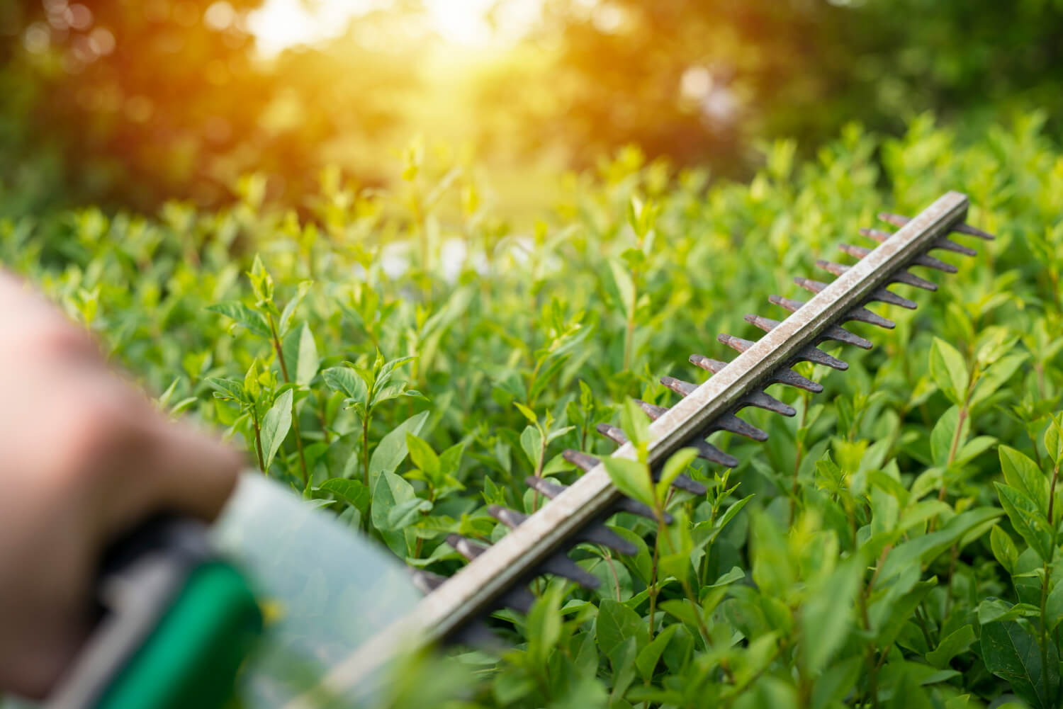 Tuinwerken beringen